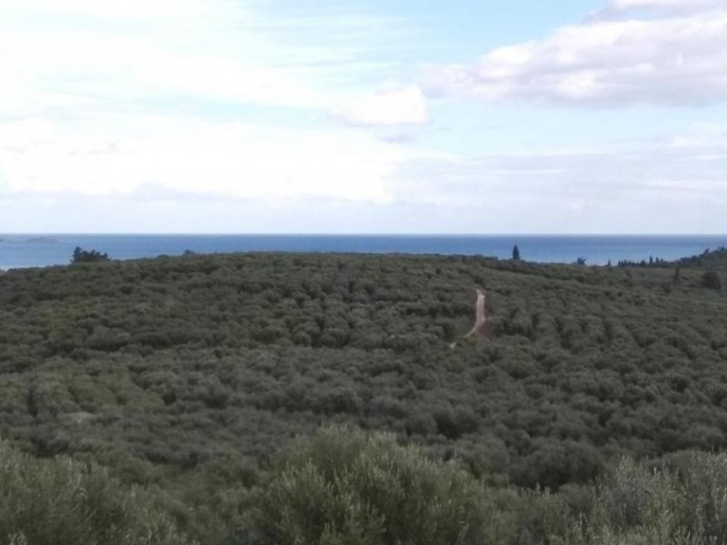 Kalyves Kreta, Kalyves: Land mit großartigem Meerblick in Apokoronas zum Verkauf Grundstück kaufen